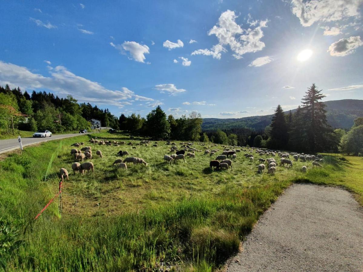 Apartmán Haus Bergblick Mauth Exteriér fotografie