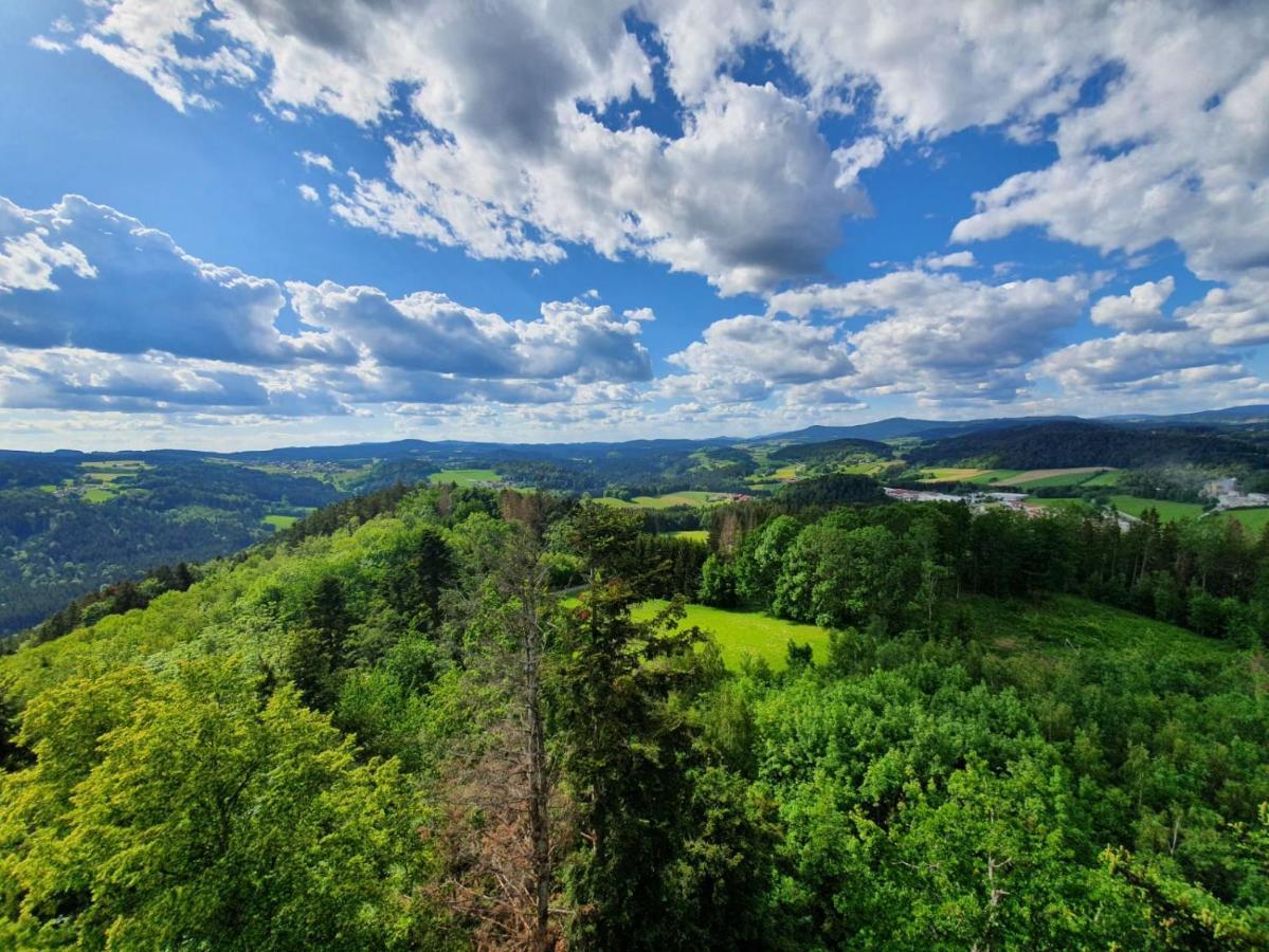Apartmán Haus Bergblick Mauth Exteriér fotografie
