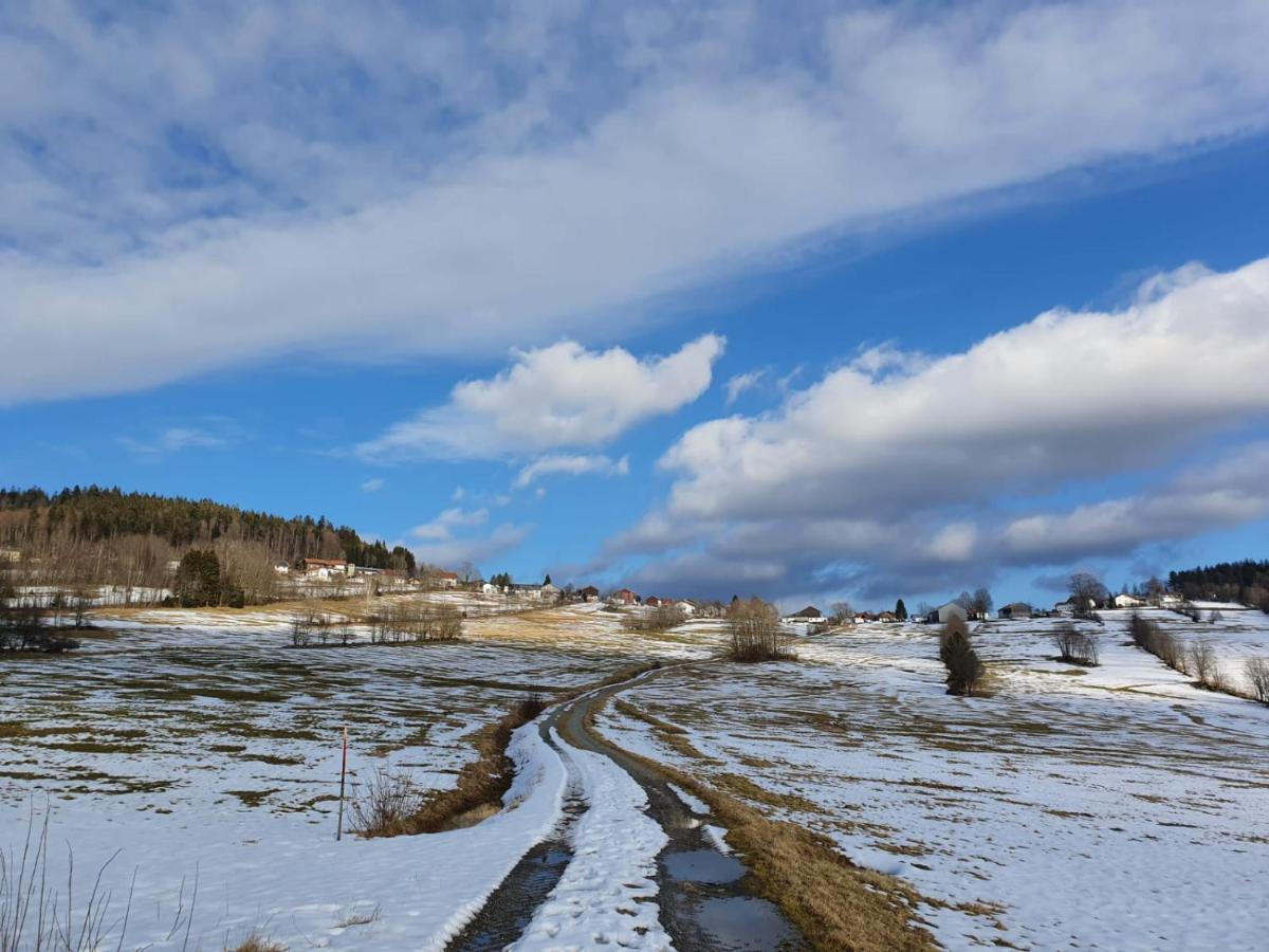 Apartmán Haus Bergblick Mauth Exteriér fotografie